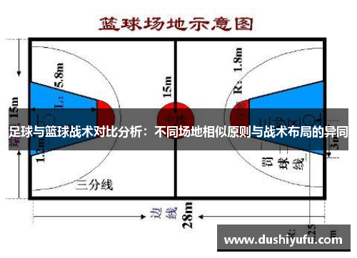 足球与篮球战术对比分析：不同场地相似原则与战术布局的异同